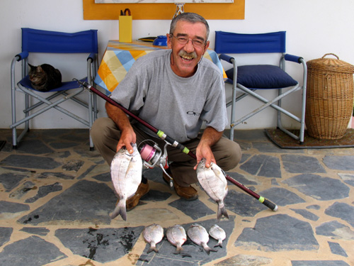 Sargos
