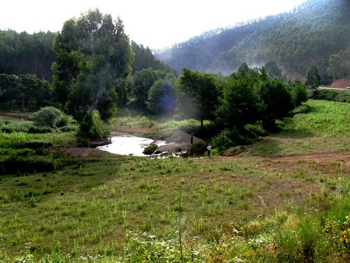 Ribeira do Ceixe