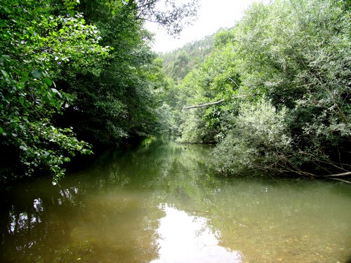 Ribeira do Ceixe