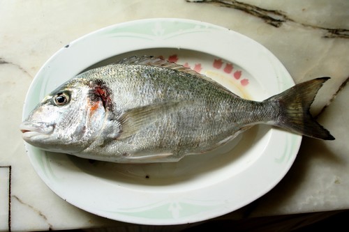 Dourada