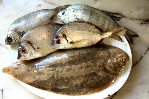 Linguado, choupas e safias