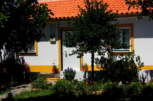 O Monte