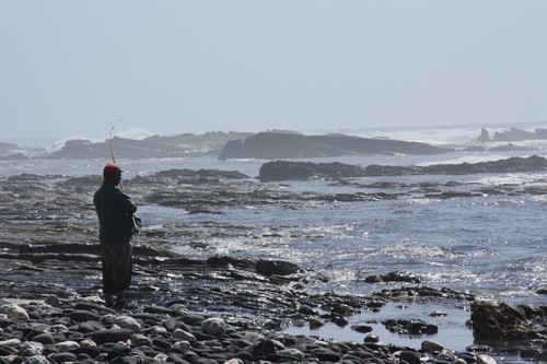 Pescador