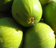 Figos