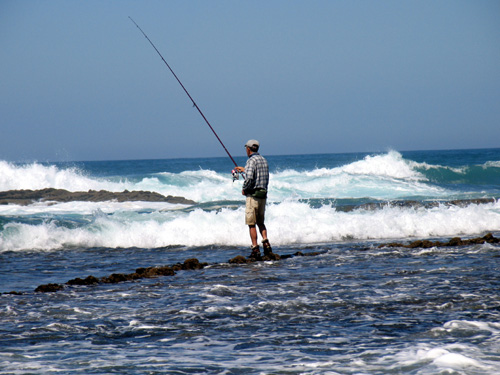 Pesca aos Sargos