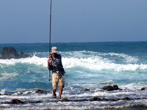 Pesca aos Sargos