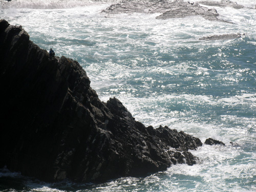 Pesca nas arribas