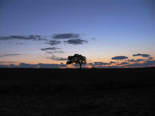 Pôr do Sol no Monte