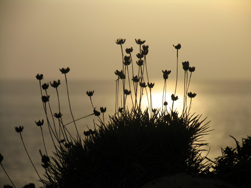 Pôr do sol