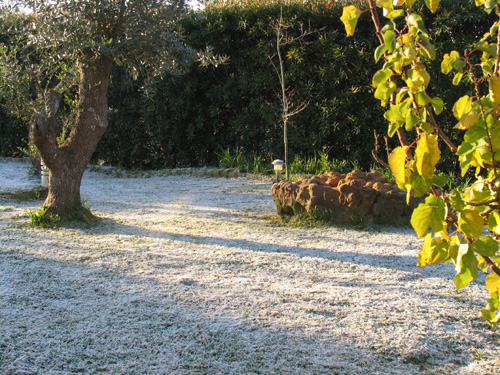 Inverno