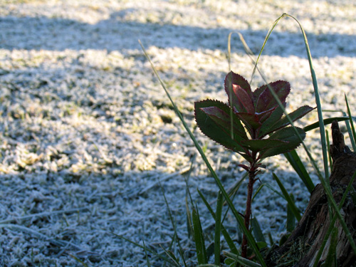 Inverno