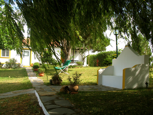 Monte