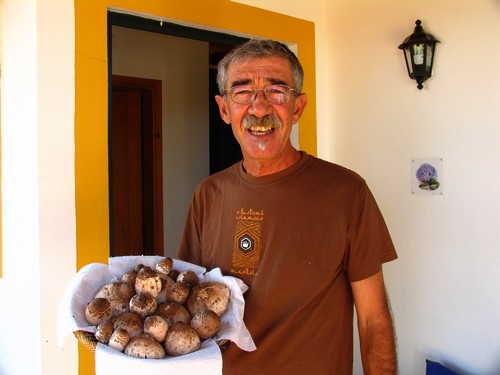 Cesto de Púcaras