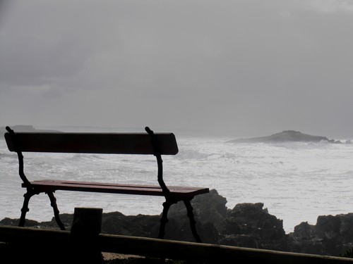 Ilha do Pessegueiro