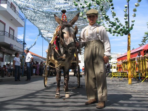 Festa no Quintalão