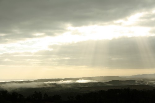 Manhã de nevoeiro