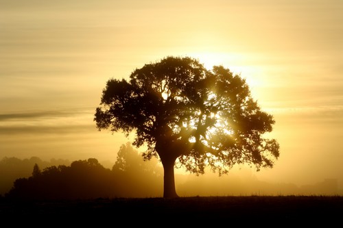 Amanhecer