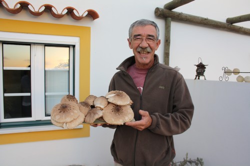 Púcaras
